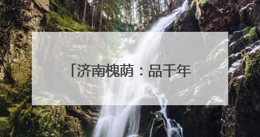 济南槐荫：品千年茶韵 聚四海茶商！一盏茶里的商业情怀与文化传承