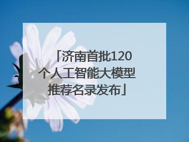 济南首批120个人工智能大模型推荐名录发布