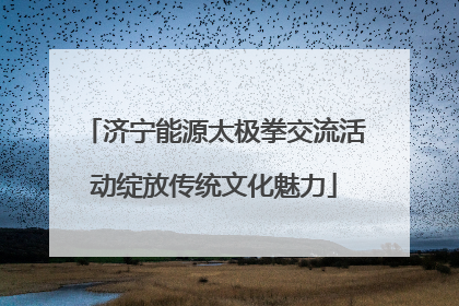 济宁能源太极拳交流活动绽放传统文化魅力