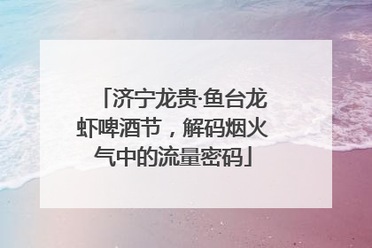 济宁龙贵·鱼台龙虾啤酒节，解码烟火气中的流量密码