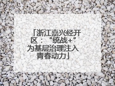 浙江嘉兴经开区：“统战+”为基层治理注入青春动力