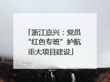 浙江嘉兴：党员“红色专班”护航重大项目建设