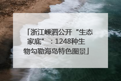 浙江嵊泗公开“生态家底”：1248种生物勾勒海岛特色图景