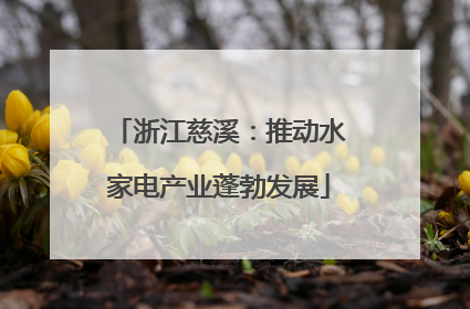 浙江慈溪：推动水家电产业蓬勃发展