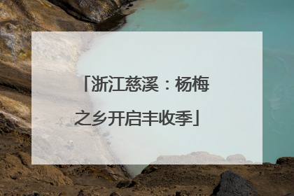浙江慈溪：杨梅之乡开启丰收季