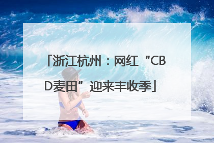 浙江杭州：网红“CBD麦田”迎来丰收季