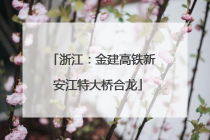 浙江：金建高铁新安江特大桥合龙
