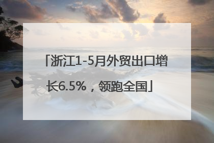 浙江1-5月外贸出口增长6.5%，领跑全国