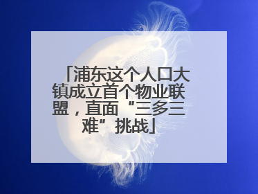 浦东这个人口大镇成立首个物业联盟，直面“三多三难”挑战