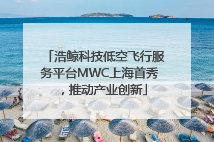 浩鲸科技低空飞行服务平台MWC上海首秀，推动产业创新