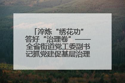 淬炼“绣花功” 答好“治理卷”——全省街道党工委副书记抓党建促基层治理培训示范班侧记