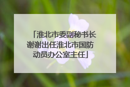淮北市委副秘书长谢谢出任淮北市国防动员办公室主任
