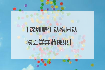 深圳野生动物园动物尝鲜洋蒲桃果