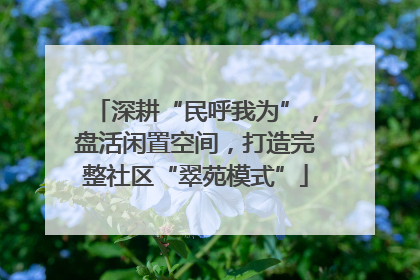 深耕“民呼我为”，盘活闲置空间，打造完整社区“翠苑模式”