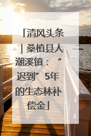 清风头条｜桑植县人潮溪镇：“迟到”5年的生态林补偿金