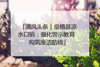 清风头条｜桑植县凉水口镇：强化警示教育 构筑廉洁防线