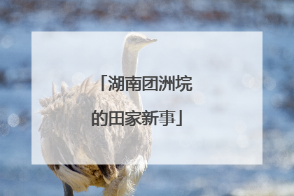 湖南团洲垸的田家新事