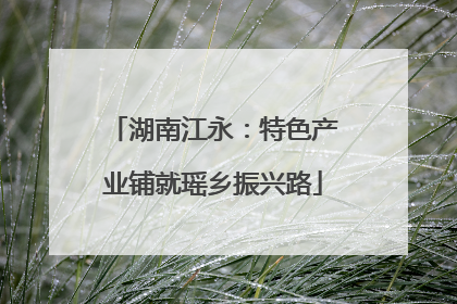 湖南江永：特色产业铺就瑶乡振兴路