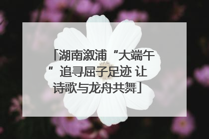 湖南溆浦“大端午”追寻屈子足迹 让诗歌与龙舟共舞