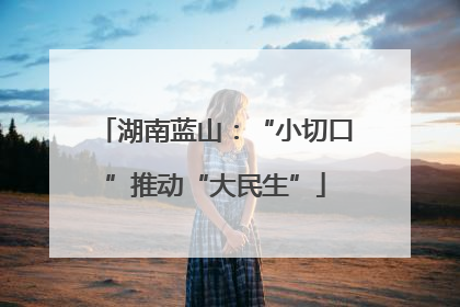 湖南蓝山：“小切口”推动“大民生”