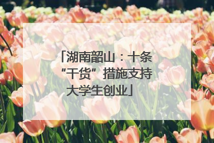 湖南韶山：十条“干货”措施支持大学生创业