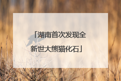 湖南首次发现全新世大熊猫化石
