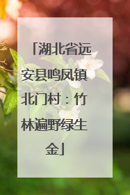 湖北省远安县鸣凤镇北门村：竹林遍野绿生金