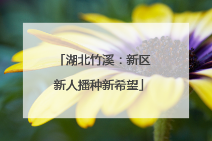 湖北竹溪：新区新人播种新希望