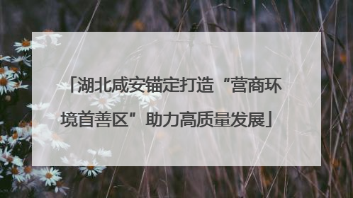 湖北咸安锚定打造“营商环境首善区”助力高质量发展