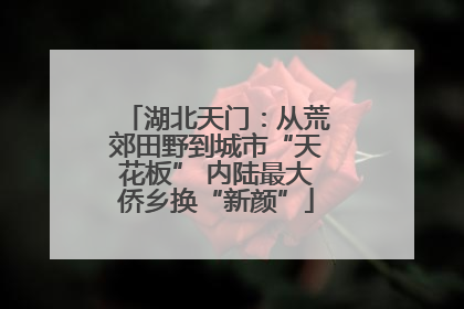 湖北天门：从荒郊田野到城市“天花板” 内陆最大侨乡换“新颜”