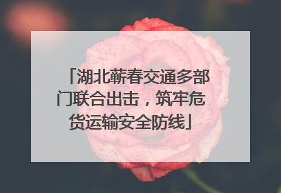 湖北蕲春交通多部门联合出击，筑牢危货运输安全防线