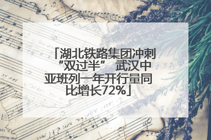 湖北铁路集团冲刺“双过半” 武汉中亚班列一年开行量同比增长72%