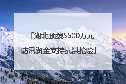 湖北预拨5500万元防汛资金支持抗洪抢险