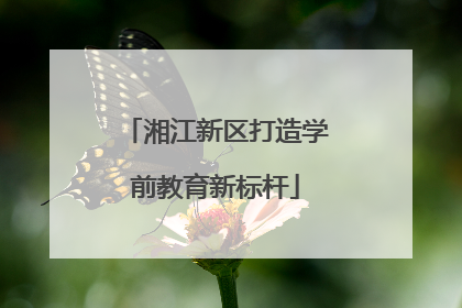 湘江新区打造学前教育新标杆