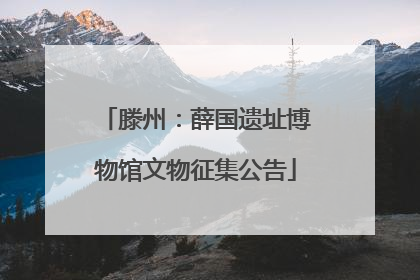 滕州：薛国遗址博物馆文物征集公告