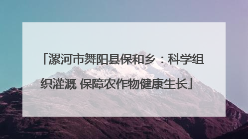 漯河市舞阳县保和乡：科学组织灌溉 保障农作物健康生长