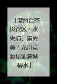 漳州台商投资区：水更清、景更美！龙舟竞渡见证满城碧水