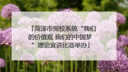 菏泽市党校系统“我们的价值观 我们的中国梦”理论宣讲比赛举办