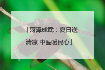 菏泽成武：夏日送清凉 中医暖民心