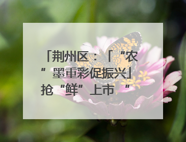 荆州区：「“农”墨重彩促振兴」抢“鲜”上市 “采摘经济”助农“甜蜜增收”