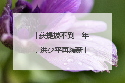 获提拔不到一年，洪少平再履新