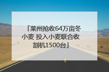 莱州抢收64万亩冬小麦 投入小麦联合收割机1500台