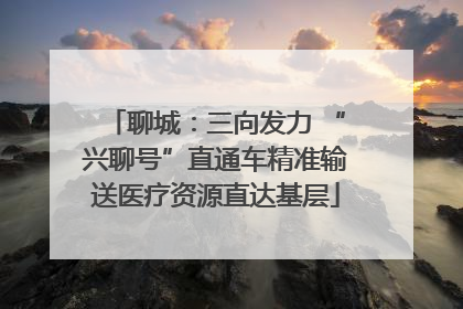 聊城：三向发力 “兴聊号”直通车精准输送医疗资源直达基层