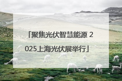聚焦光伏智慧能源 2025上海光伏展举行