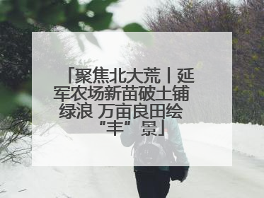 聚焦北大荒丨延军农场新苗破土铺绿浪 万亩良田绘“丰”景