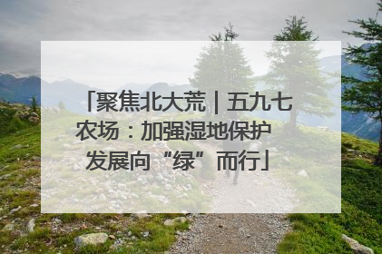 聚焦北大荒｜五九七农场：加强湿地保护 发展向“绿”而行