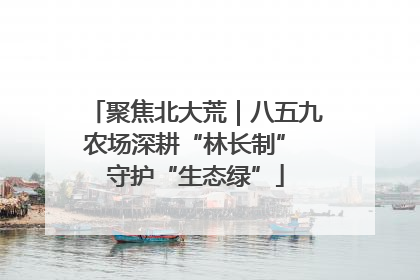 聚焦北大荒｜八五九农场深耕“林长制” 守护“生态绿”