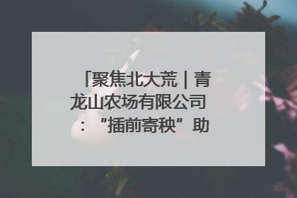 聚焦北大荒｜青龙山农场有限公司：“插前寄秧”助力农业节本增效