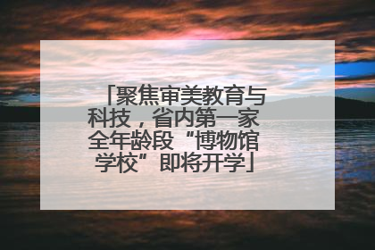 聚焦审美教育与科技，省内第一家全年龄段“博物馆学校”即将开学