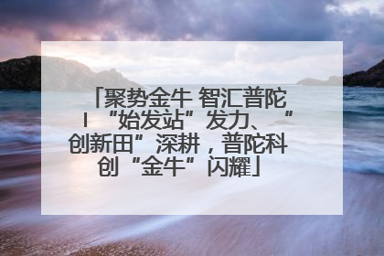 聚势金牛 智汇普陀〡“始发站”发力、“创新田”深耕，普陀科创“金牛”闪耀